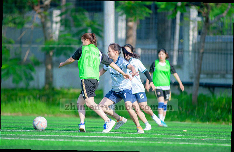 抽象地图色块上散布青绿色与橙色节点，标示六个片区的服务覆盖示意
